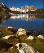 lago_Bullfrog